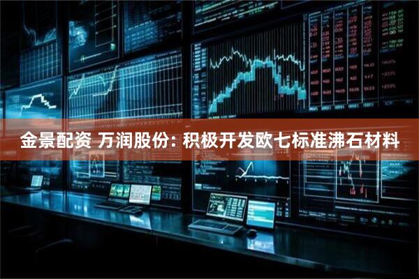 金景配资 万润股份: 积极开发欧七标准沸石材料