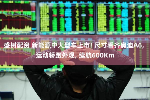 盛树配资 新能源中大型车上市! 尺寸看齐奥迪A6, 运动轿跑外观, 续航600Km