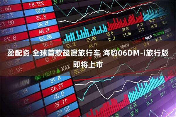 盈配资 全球首款超混旅行车 海豹06DM-i旅行版即将上市