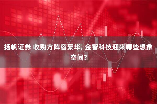 扬帆证券 收购方阵容豪华, 金智科技迎来哪些想象空间?