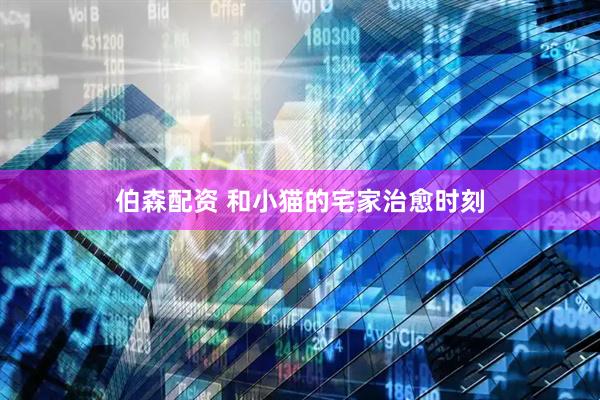 伯森配资 和小猫的宅家治愈时刻