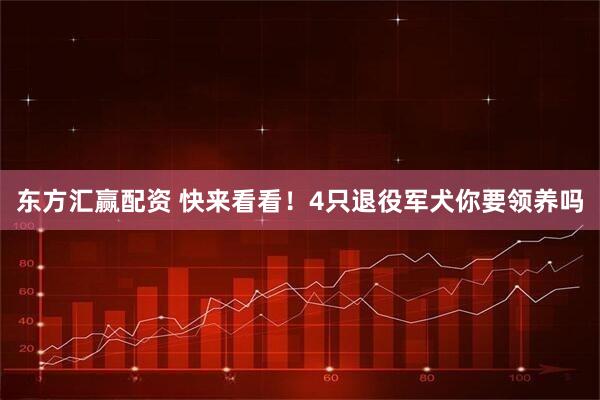 东方汇赢配资 快来看看！4只退役军犬你要领养吗